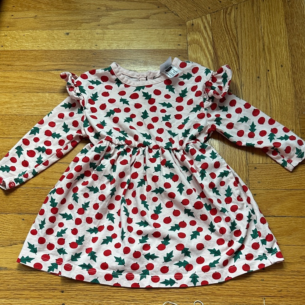 Hanna Andersson - long sleeved ruffle sleeved shoulder dress Snowberries On Pink